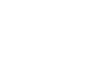Sheep ico